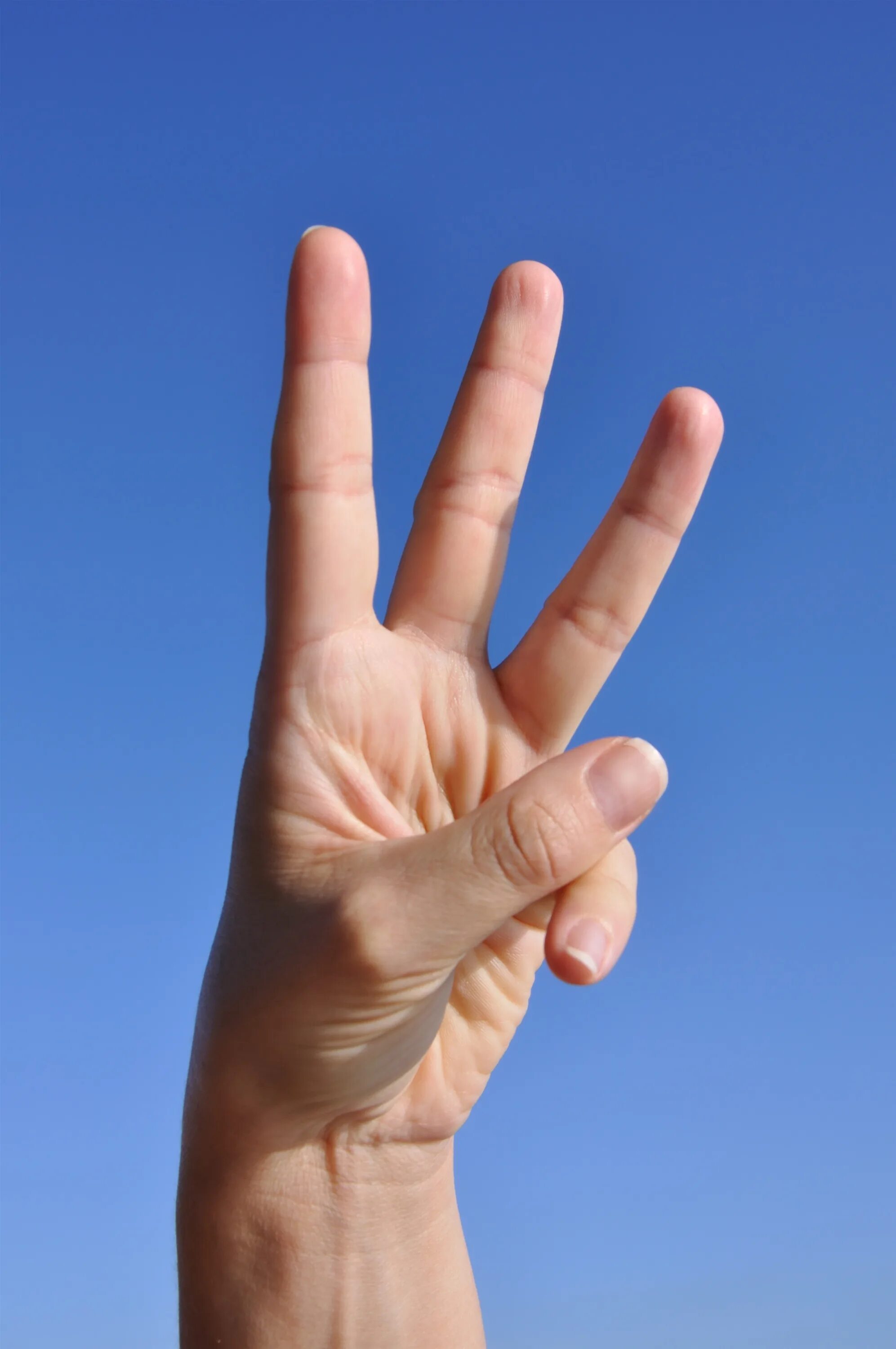 Показывать три пальца. Жест три пальца. 3 Пальца женская рука. Жест три пальца вверх.