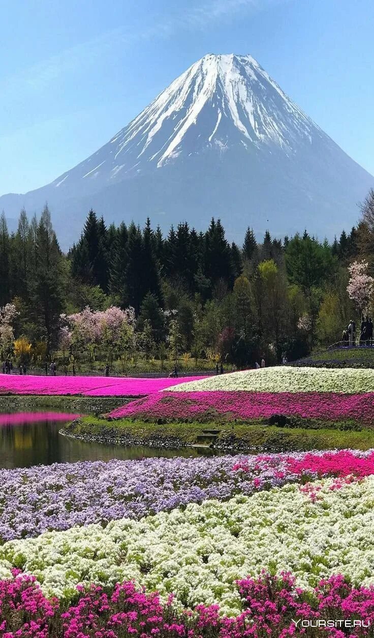 Фудзияма евразия. Фудзияма Япония. Гора Фудзияма в Японии. Гора Фудзи в Японии. Символ Японии - гора Фудзияма..