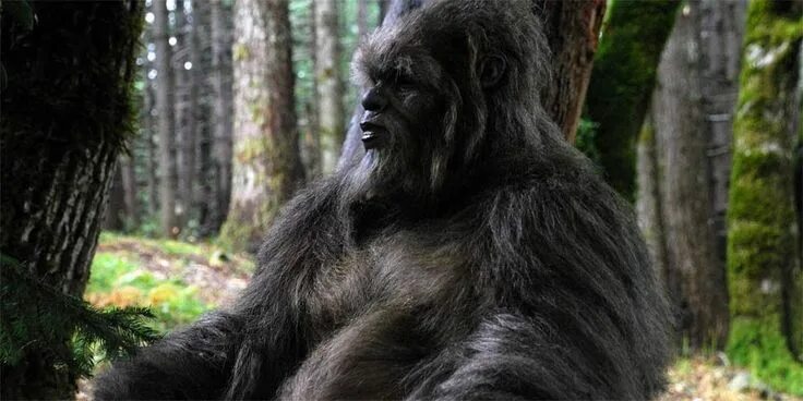 Treebeard  Legendarium Wiki Fandom