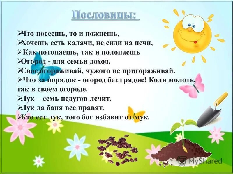 Стих посадили. Поговорки про огород. пословицы про огород для детей. пословицы и поговорки про огород. стихи проогорд на окне.