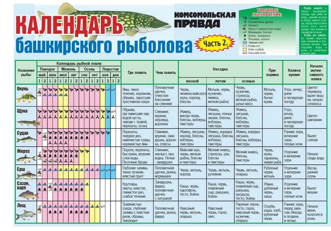 Прогноз клева 2024г. Рыбалка таблица клева. Календарь рыболова. С какого числа можно ловить рыбу. Календарь лова рыбы.