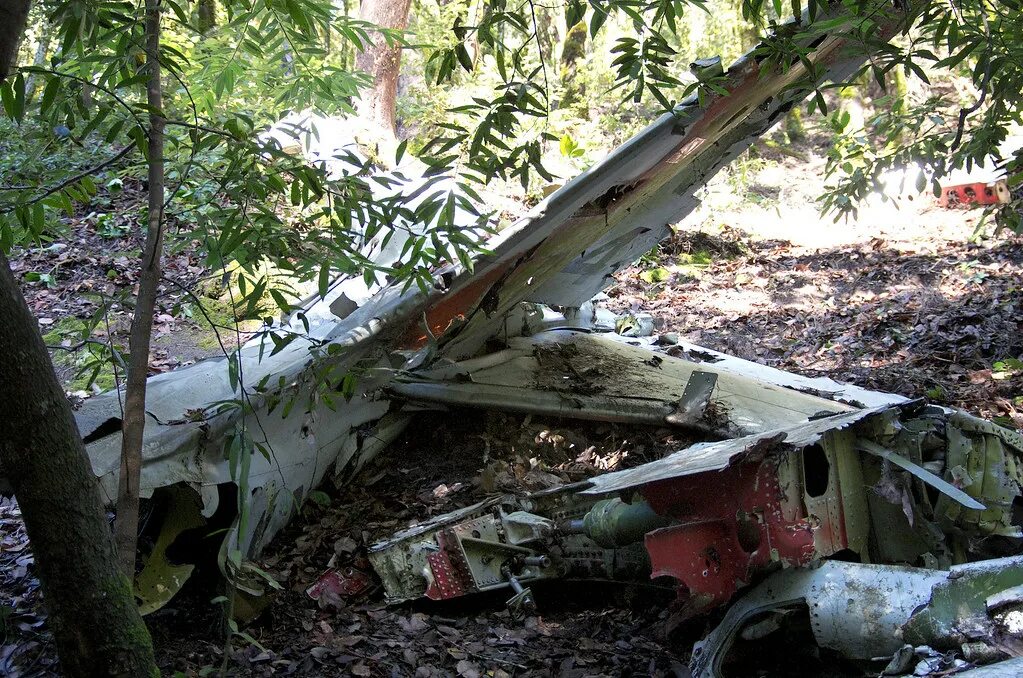 Почему разбился ил. Разбитый самолет в джунглях. Упавшие самолеты в джунглях. Разбитый самолет в лесу.