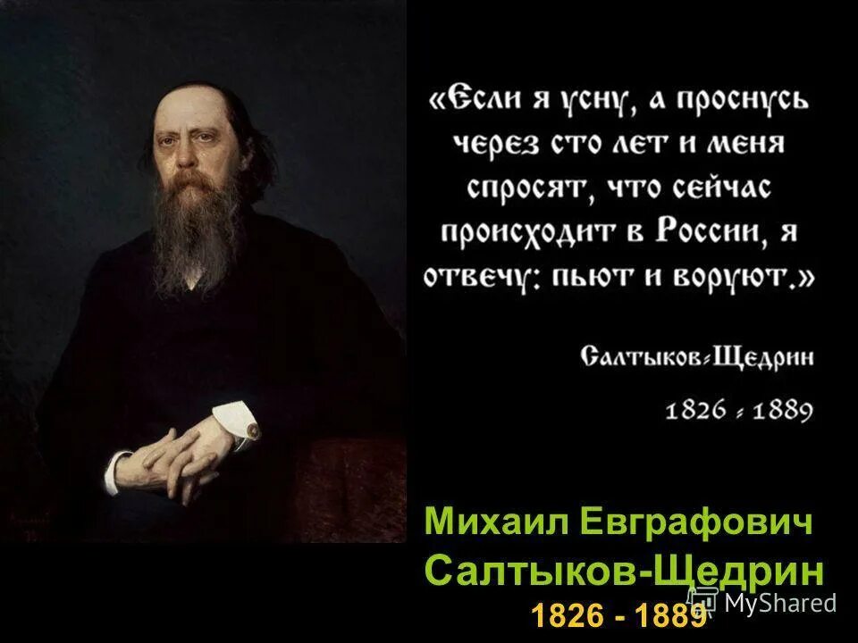 Разбудите пьют и воруют