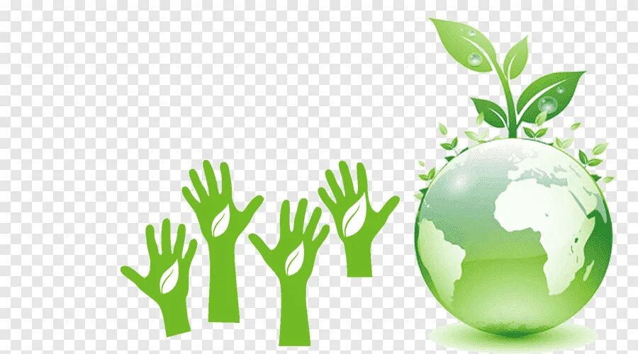 Clean environment