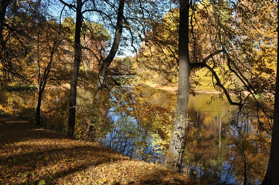 Погода спасское лутовиново. Спасское Лутовиново. Спасское Лутовиново пруд. Спасское Лутовиново мостик. Спасское Лутовиново осенью.