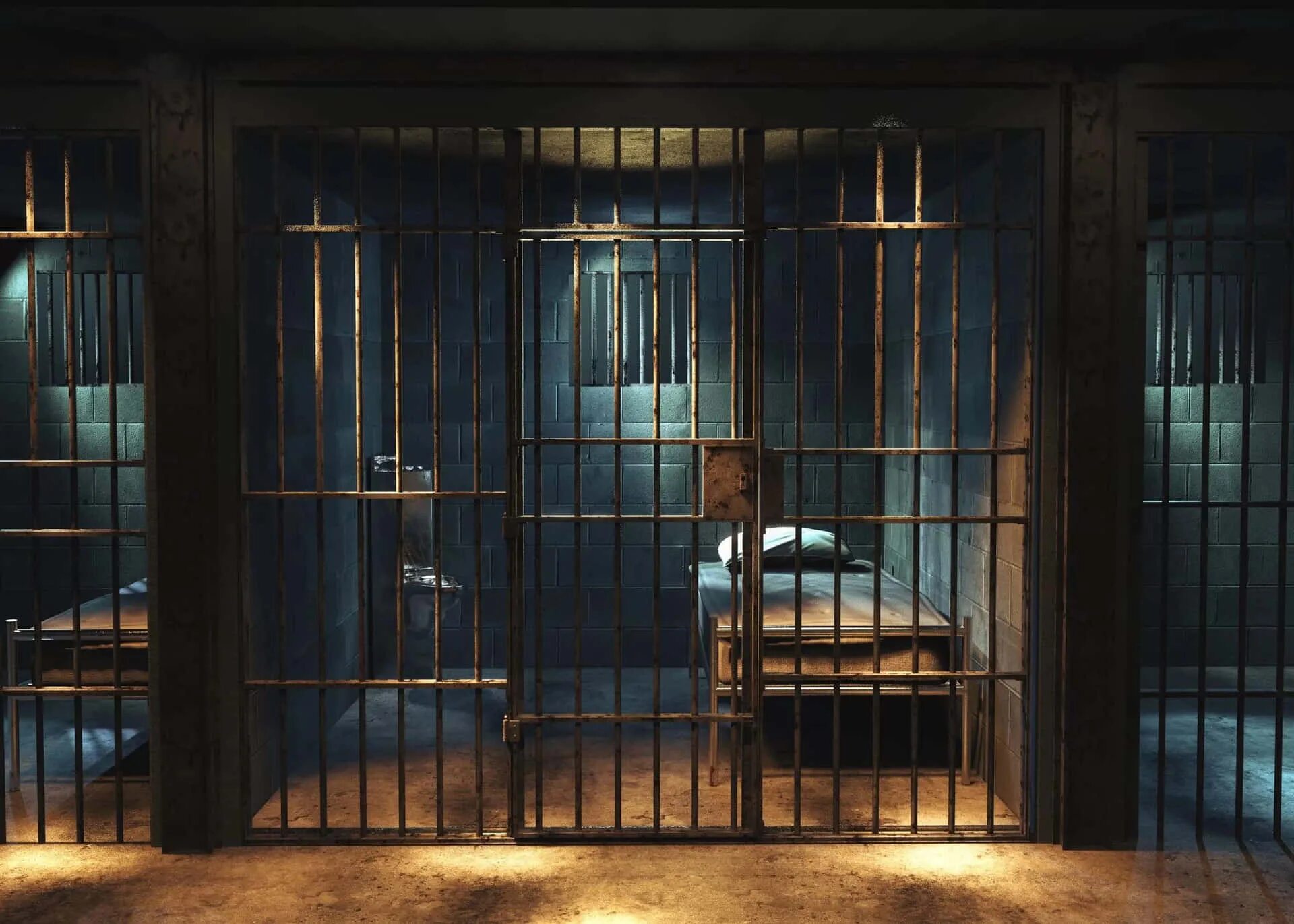 Through the bars