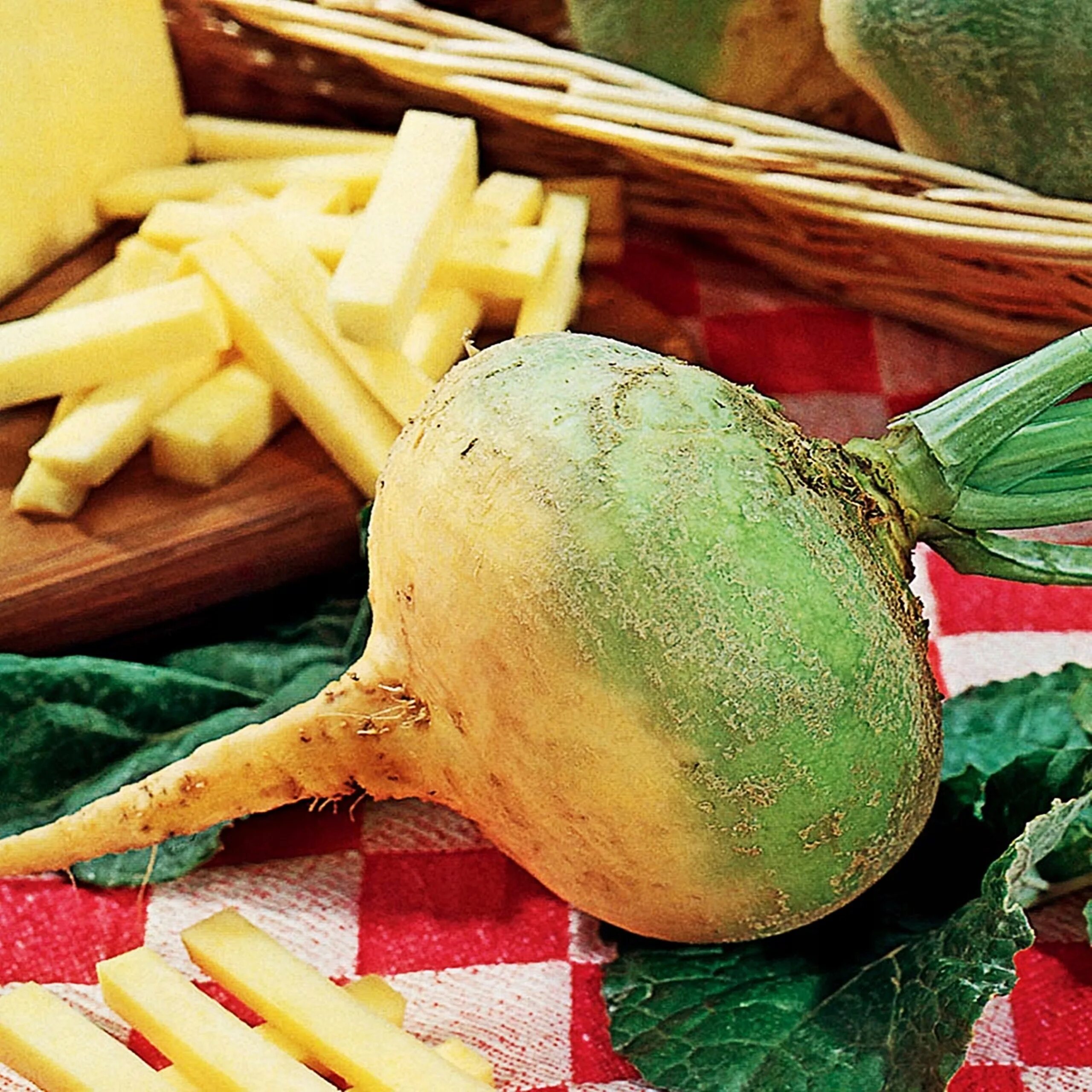 Брюква Brassica napobrassica. Редька репа брюква. Репа брюква редька турнепс. Брюква Баварская. Какая брюква