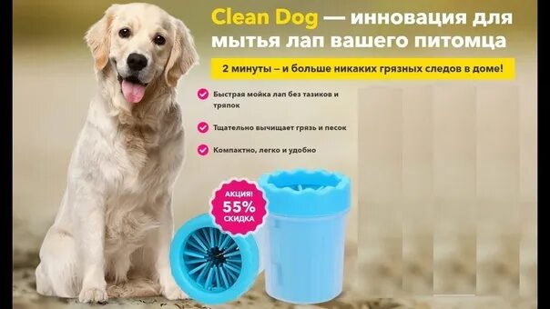 Чем мыть лапы собаке. Лапомойка для собак. Мойка для лап собаки. Приспособление для мытья лап собакам. Тазик для мытья лап собакам.