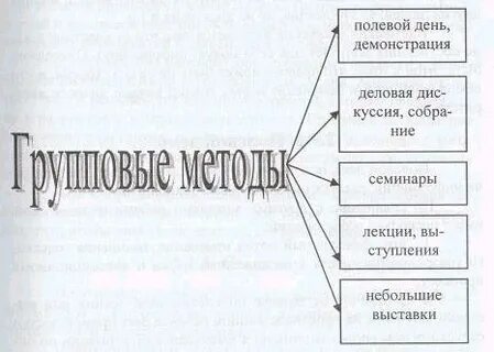 Индивидуальные и групповые методики
