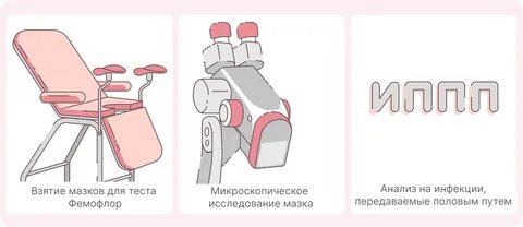 Нормоценоз: всё о балансе микрофлоры