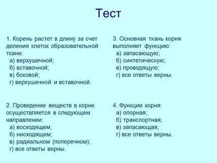 Рост корня обеспечивают клетки ткани