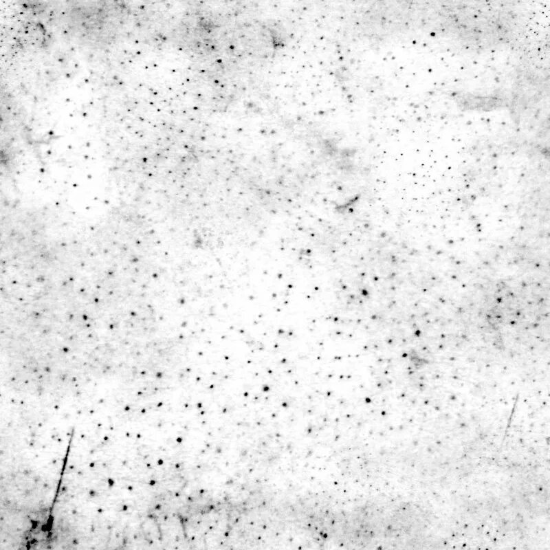 Dirt coloured. Dirt map бесшовная. текстура грязи. текстура пыли. текстура пыли бесшовная.