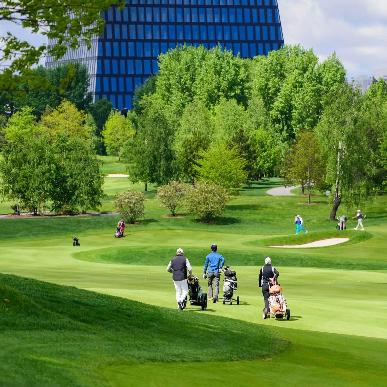 Куплю гольф клуб. Сколково гольф парк. Skolkovo Golf Club, Москва. Гольф поле Новогорск. Парк усадьба Сколково.