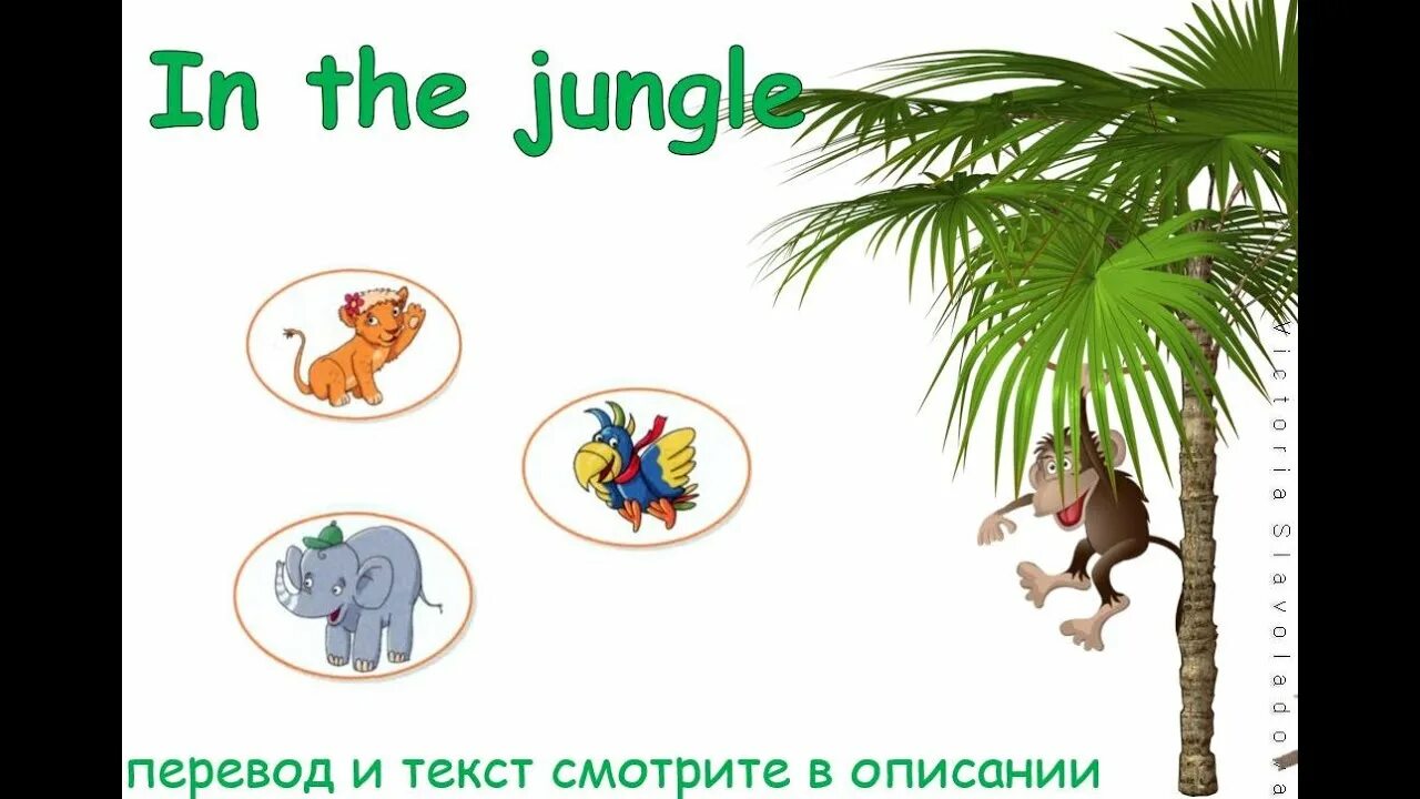 Английский язык тема джунгли. Рассказ на тему джунгли по английскому. Джунгли плакат для детей. The jungle book книга. Книга джунглей обложка книги.