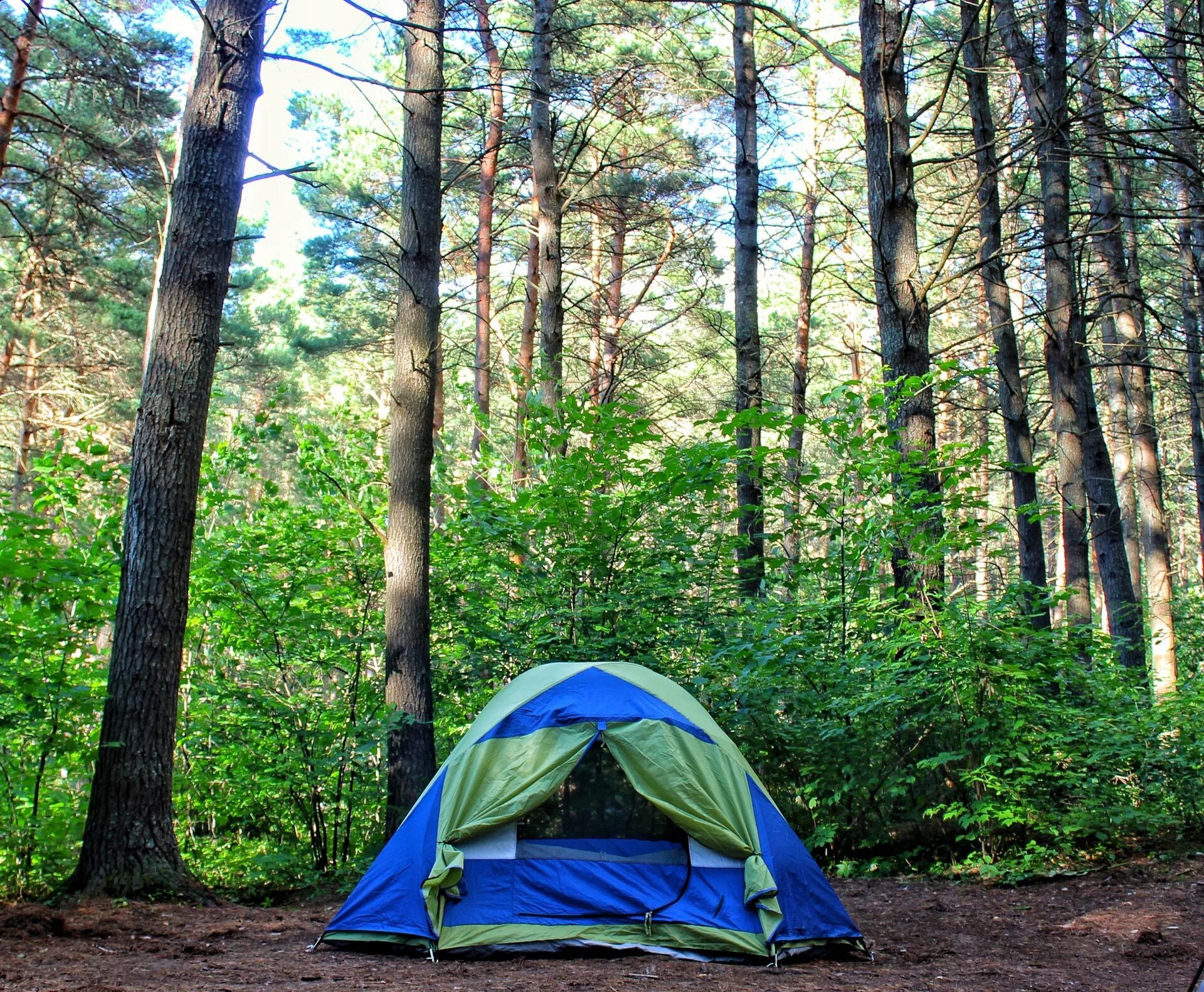 Место отдыха на природе 4. Палаточный лагерь Camp 2050. Селигер палаточный лагерь кемпинг. Палатка в лесу. Туристическая палатка на природе.