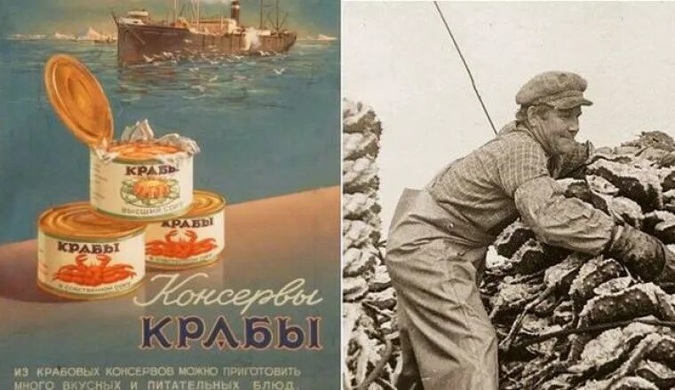 Крабы ссср. Советская реклама крабов. Советские консервы. Советские Крабы в консервах. Крабовые консервы в СССР.