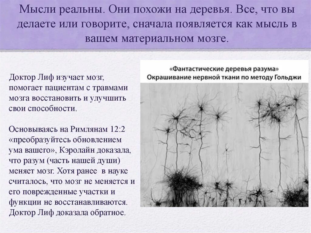 Появились сперва. Как появляются мысли. Кэролайн лиф включите свой мозг. Доктор Кэролайн лиф. Мысли реальны.