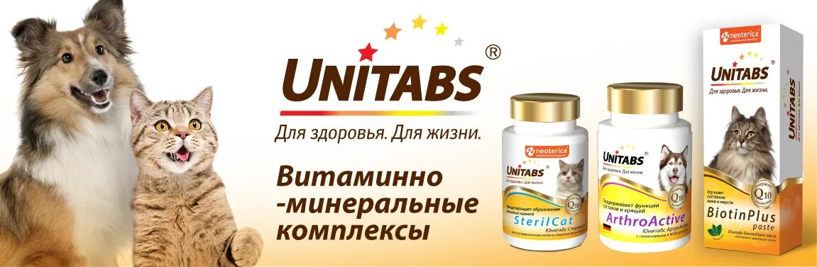 Unitabs витамины для кошек. Unitabs витамины для собак. витамины юнитабс для собак и кошек. витамины для кошек и собак unitabs. витамины для кошек юнитабс паста.