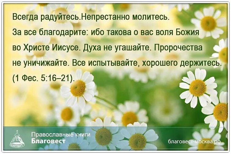 Всегда радуй. Христианские стихи о милости Божьей. Радость во Христе. Стихи из Библии о радости. Христианские открытки с радостью в Господе.