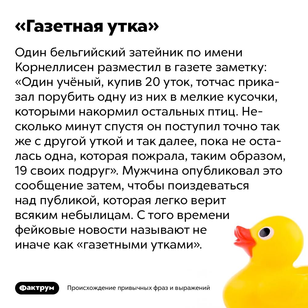 Что значит утка. Газетная утка. газетная утка фразеологизм. газетная утка происхождение фразеологизма. газетные утки.