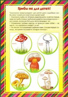 Детям про грибы и ягоды