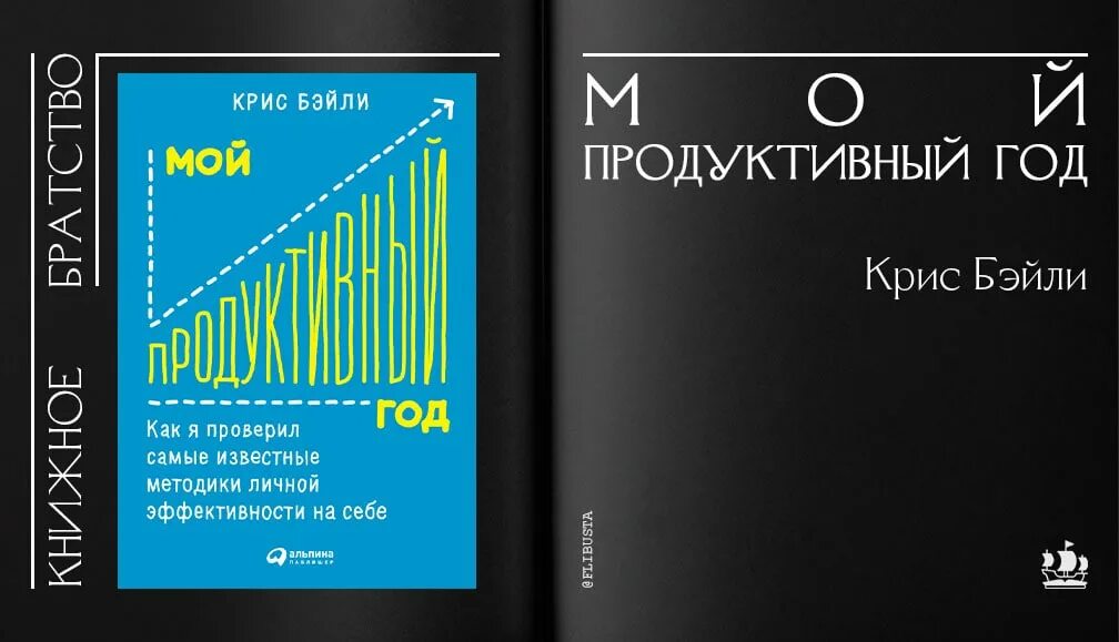 Бейли мой продуктивный год. Мой продуктивный год. Бейли мой продуктивный год. Мой продуктивный год: как. Giperfokus kris beyli.