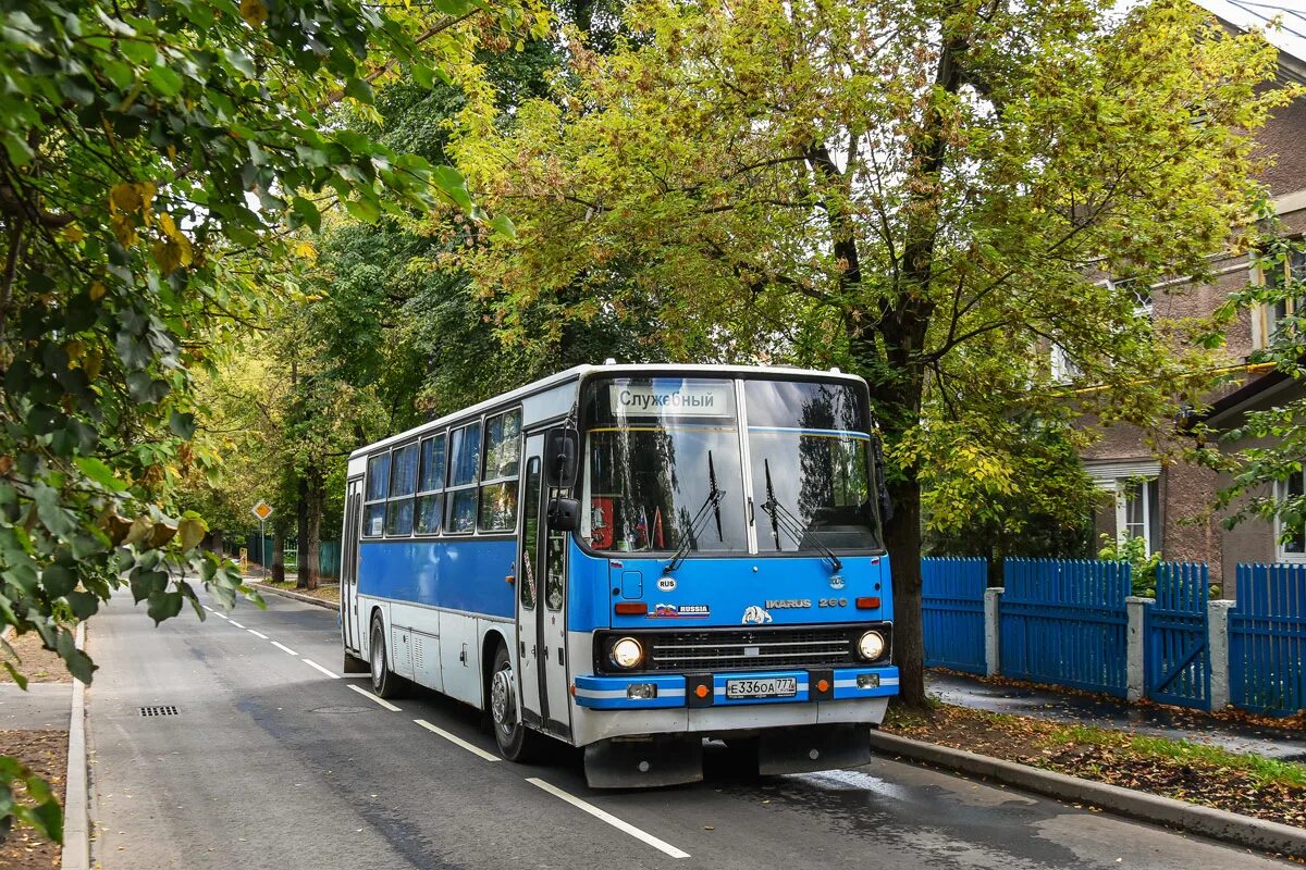 Автобус икарус 260. Икарус 260. икарус 260.51. икарус 260.25. икарус 260.33.