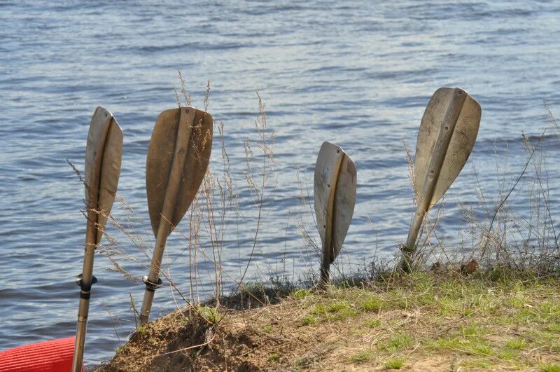 Сушите весла. Вальковое весло. Мокрые весла. Приплыли.сушим весла. Весло много