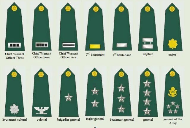 Погоны и звания в армии США. Погоны офицеров армии США. Погоны рядового армии США.