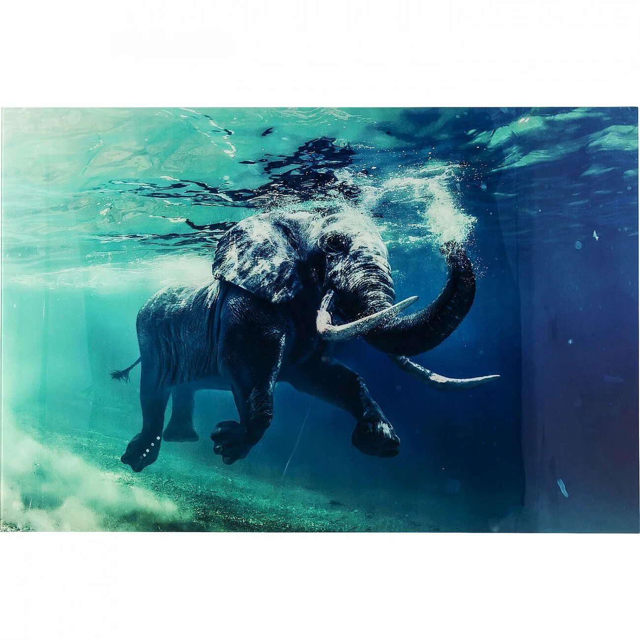 Слон под водой. Слоны плавают. Слон плывет. Слоны в воде.