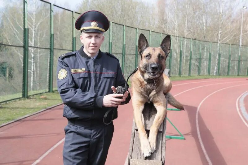 Кинолог мвд хасанский район. Выступление кинологов. Выступление кинологов. Выступление кинологов. Собаки для охраны.