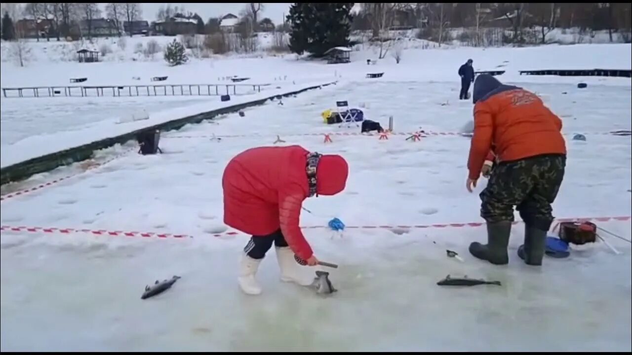 Русфишинг рыбалка сытый кот. Рыбалка хатунь. Русфишинг рыбалка сытый кот. Сытый кот рыбалка хатунь. Русфишинг рыбалка сытый кот.