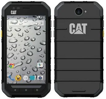 Cat s 0