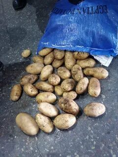 Египетский картофель