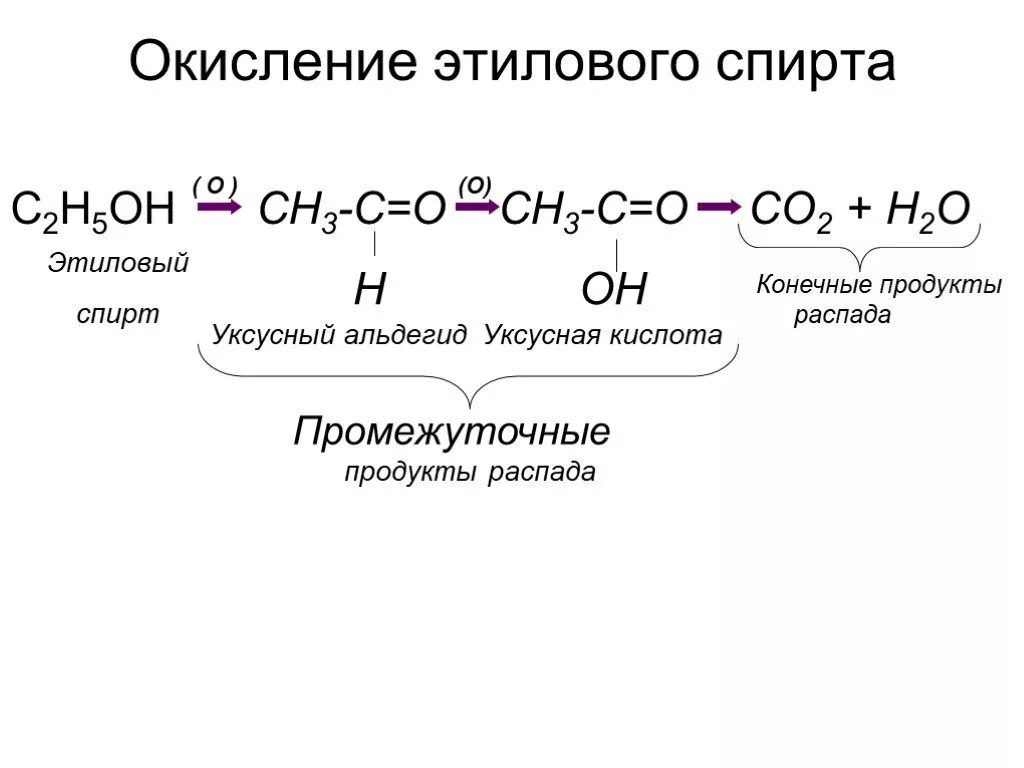 Уксусная кислота реакция окисления. Схема реакции окисления этанола. Окимление жтилового спирта. Окисление этанола в 2 стадии. Реакция окисления этилового спирта.