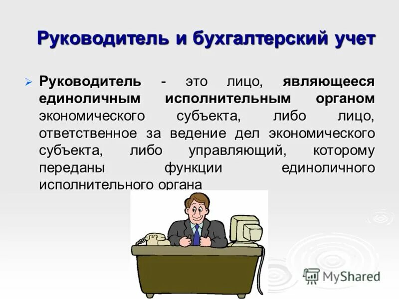 Единолично исполняющий орган. Руководитель исполнительного органа экономического субъекта. Бухгалтерский учет презентация. В лице руководителя. Руководство бухгалтерского учета.