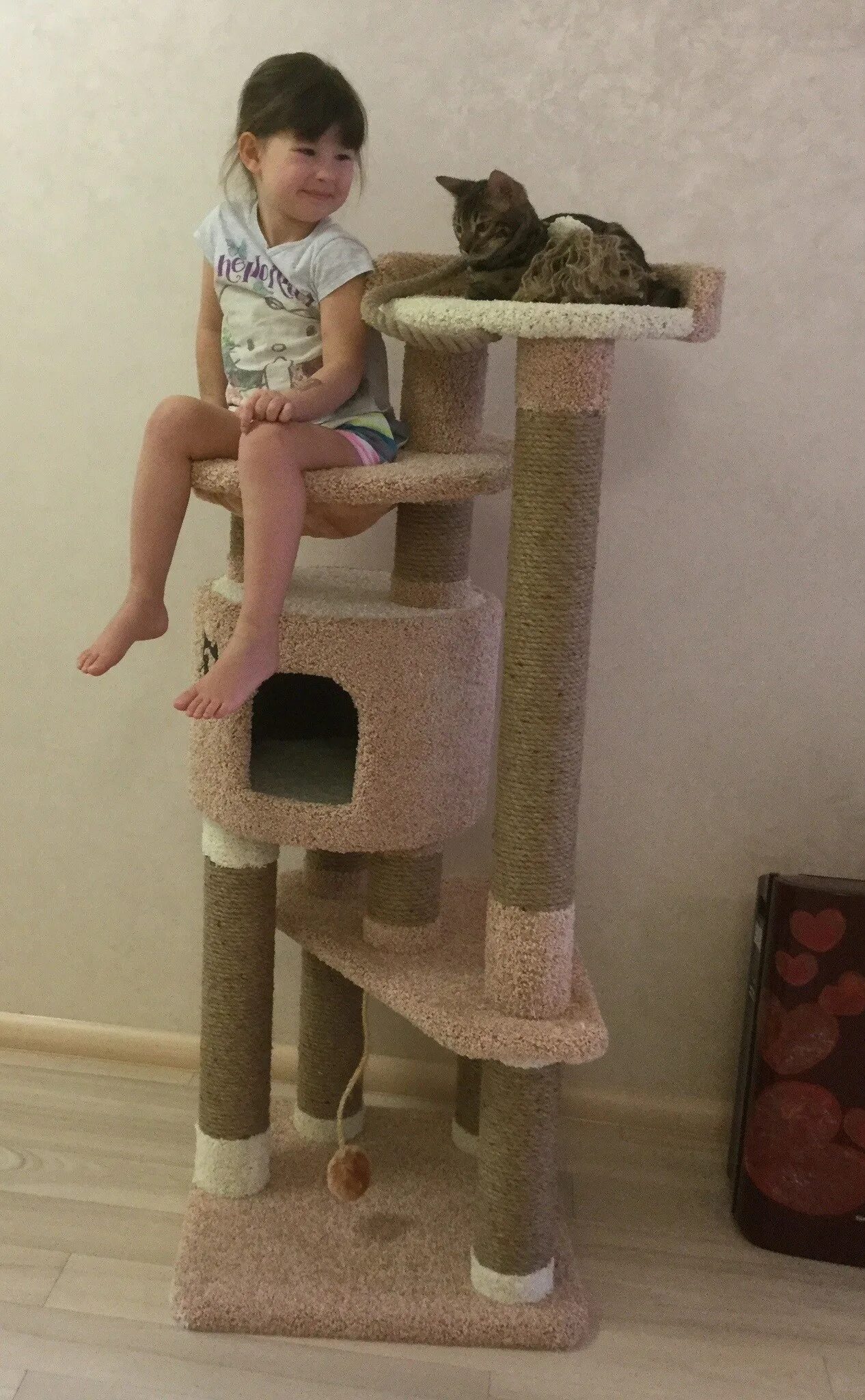 Покажи домик для котика. Двухэтажный домик для кошек. Кошкин дом когтеточка. Кисмит д-6 домик-когтеточка. Милые домики для котиков.