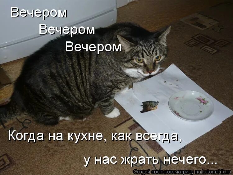 Жрать нечего. Как всегда нечего. Я больше ничего не хочу. Нечего сказать картинки. Нам бояться нечего.