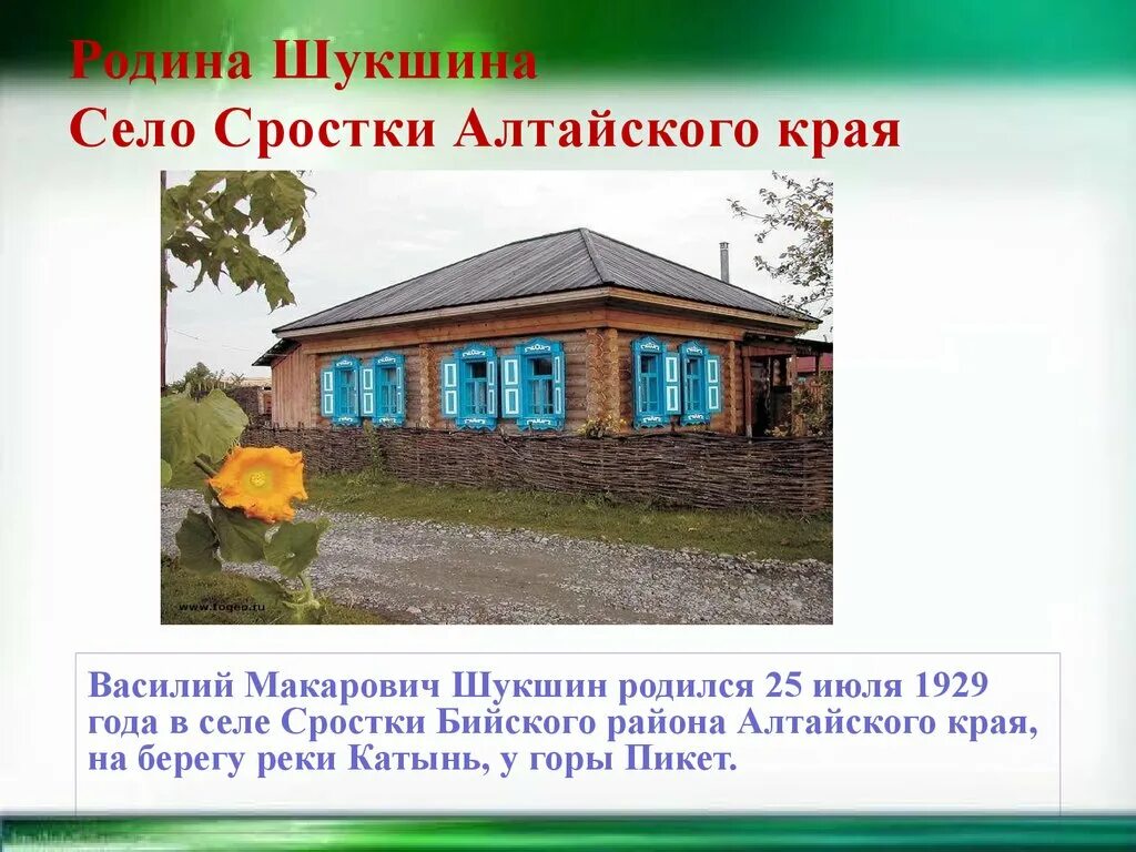 Биография шукшина 7 класс литература. Село Сростки Родина Шукшина. Родина Шукшина село Сростки Алтайского. Василия Макаровича Шукшина. Деревня Василия Шукшина.