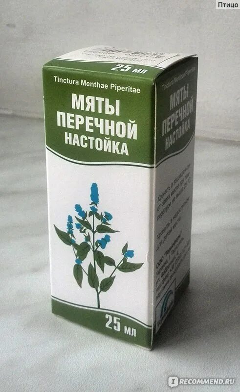 Как принимать мяту перечную