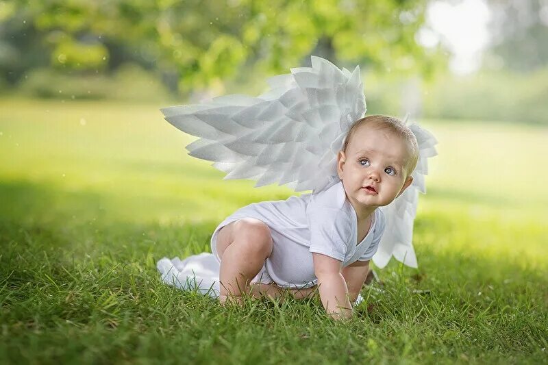 Дети крылья фото. Маленький ангелочек. Ребенок с крыльями ангела. Девочка с крыльями ангела. Младенец с крыльями.