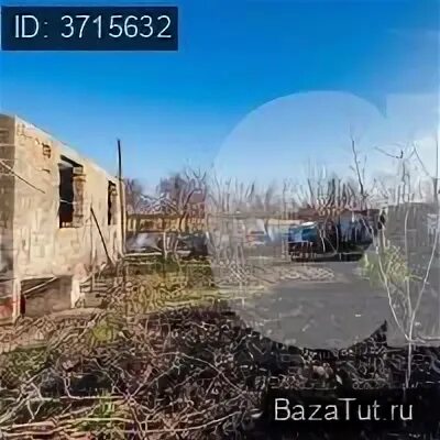 Погода х черников