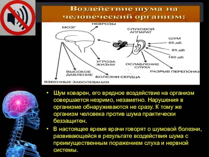 Влияние звуков и шумов на организм. Влияние шума на организм. Влияние шума на здоровье человека. Влияние шума на нервную систему человека. Шум и его воздействие на организм человека.