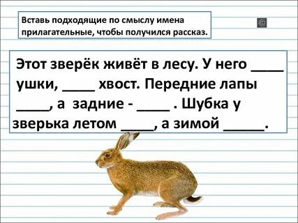 Вставить подходящее по смыслу слова существительные