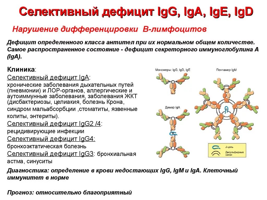 Синдром селективного дефицита IGG. Селективный дефицит иммуноглобулина а. Селективный иммунодефицит иммуноглобулина а. Селективный дефицит секреторного iga это:.