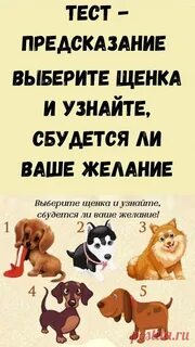 Подобрать собаку тест