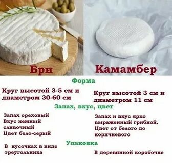 Чем отличается бри