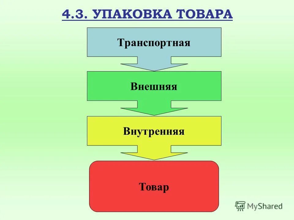 классификационные признаки проекта. какие признаки лежат в основе систематики. основные таксоны систематики растений. какие признаки лежат в основе систематики. какие признаки лежат в основе систематики.
