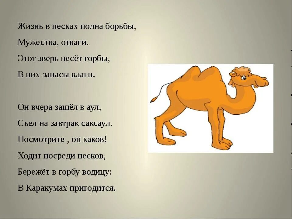 Верблюд рифма. Верблюд рифма. Верблюд рифма. Стих про верблюда для детей. Пословицы о верблюде.