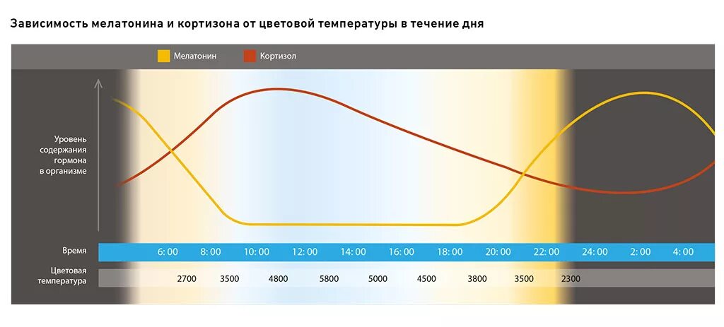 Влияние освещения на работоспособность человека. Зависимость освещенности и цветовой температуры. Цветовая температура в течении дня. Цветовая температура в Солнечный день.